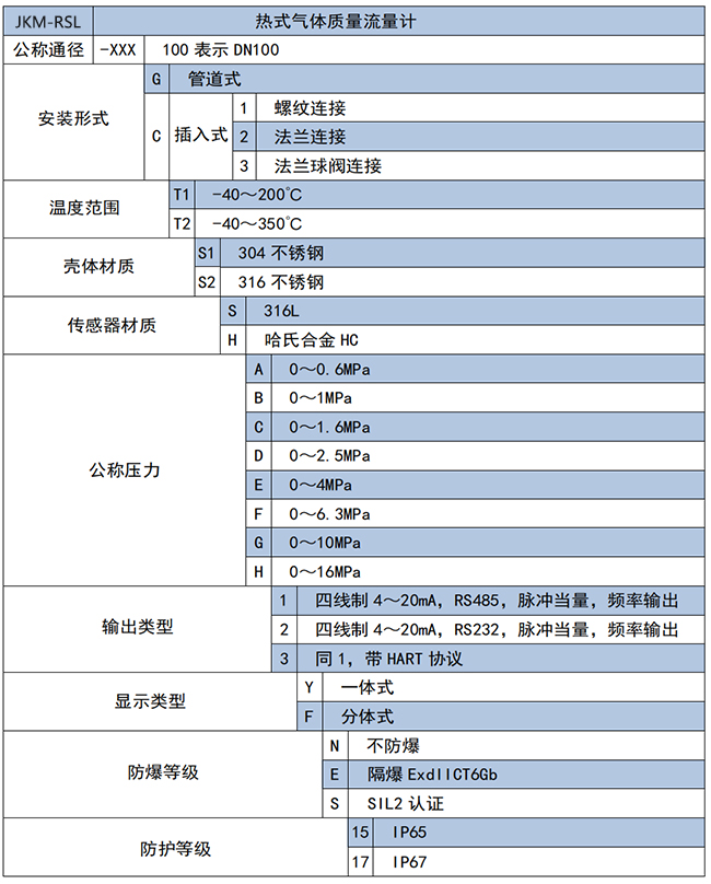 DN40熱式氣體質量流量計選項表